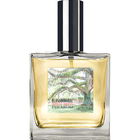 White Moss von The Blossomcare Company