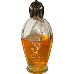 Persian Wood (Toilet Water) by Avon