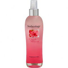 Exotic Cherry Blossom / Cherish the Moment by bodycology