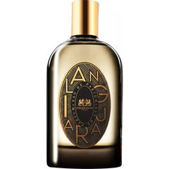 Ilanguara by Phaedon