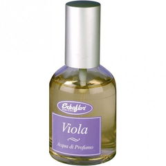 Viola von Erbaflor