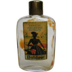 Hollandse Bloemen by Boldoot
