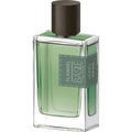 Flannel (After Shave) von Basile