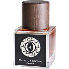 Musc Gardénia: Berke Khan