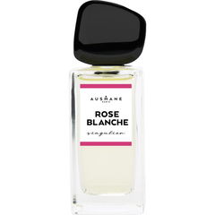 Rose Blanche by Ausmane