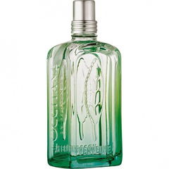 Frisson de Verveine by L'Occitane en Provence