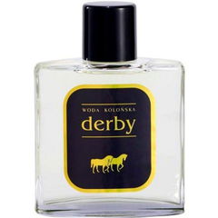 Derby von Synteza