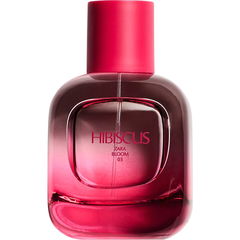 Zara Bloom 03 - Hibiscus