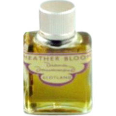 Heather Bloom von Diana Drummond Heather Bloom von Diana Drummond