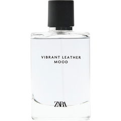 Vibrant Leather Mood by Zara