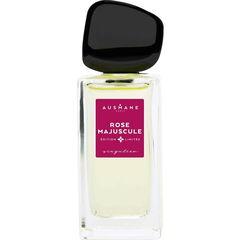 Rose Majuscule von Ausmane