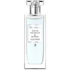 Lily of The Valley & Jasmine by Allvernum