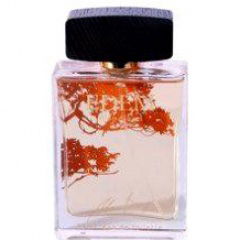 Edem - Woodland by Alan Bray