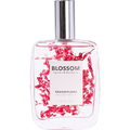Grandiflora von Blossom Beauty