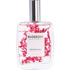 Grandiflora von Blossom Beauty