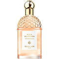 Aqua Allegoria Orange Soleia von Guerlain
