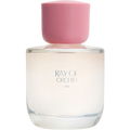 Ray of Orchid by Zara