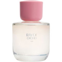Ray of Orchid von Zara