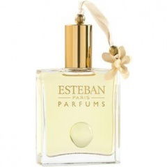 Angelic Flower von Esteban