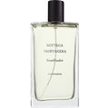 Rose Poudre by Bottega Profumiera