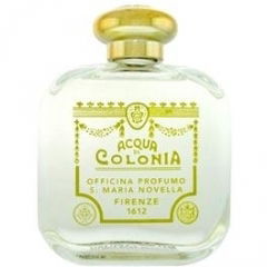 Frangipane von Santa Maria Novella