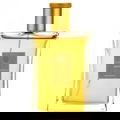 Ambre by Les Ecuadors