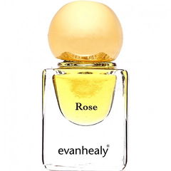 Rose by Evanhealy