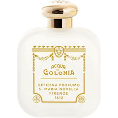Eva von Santa Maria Novella