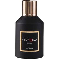 Miss Tuberosa by Antiqua Firenze