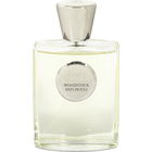 Woodstock Patchouli von Giardino Benessere