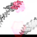 Crystal Bloom Promised Love / クリスタルブルーム プロミスドラブ by Jill Stuart