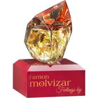 Feelings von Ramón Molvizar