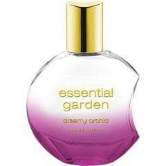 Dreamy Orchid by Essential Garden Dreamy Orchid by Essential Garden