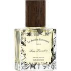 Rose Trocadéro von Le Jardin Retrouvé