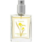 Freesia / フリージア by Floral 4 Seasons