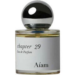 Chapter 29 / チャプター 29 by Aíam