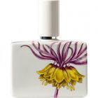 Clemency Edition Limitée von Humięcki & Graef