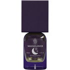 MoonFlower von Noctifera