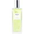 Fern by nspa