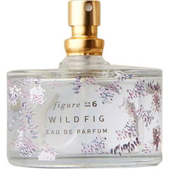 Anatomy of a Fragrance - Wild Fig by Illume