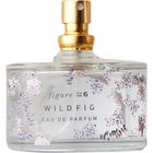 Anatomy of a Fragrance - Wild Fig von Illume