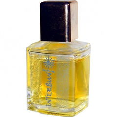 Intersun von Christian Lorz