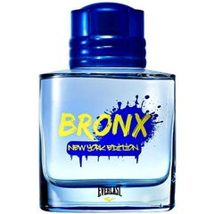 Bronx New York Edition von Everlast