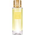 Mimosa Austral by Première Note