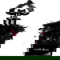 La Petite Robe Noire Edition Legeron et Waltersperger von Guerlain