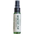 Winter Fir von Barnaby Black