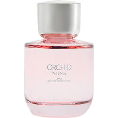 Orchid Intense (2024) by Zara
