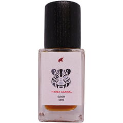 Hyrex Carnal by Zakir Gafur