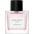 Damask Rose by Jasper Conran