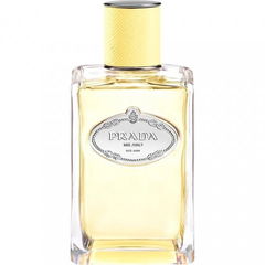 Infusion de Mimosa von Prada